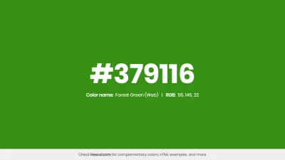 mk27x - Kolor heksadecymalny na dziś:

 #379116 Forest Green (Web) Hex Color - na s...