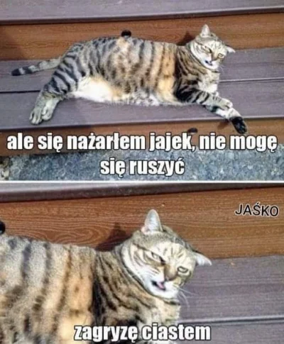 Ciostko69 - #heheszki #humorobrazkowy