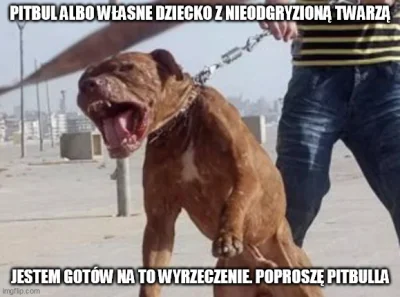 kinlej - - Pitbull albo brak traumy u dzieci.
- Poproszę pitbulla.