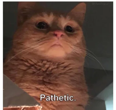 kartofel - Kiedy czytam niektóre wysrywy na #antykapitalizm