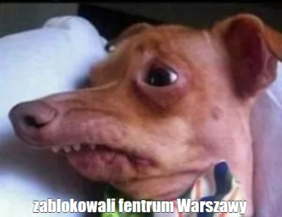 MandarynWspanialy - > zablokowali fentrum Warszawy

@Jestembogaty: ( ͡º ͜ʖ͡º)