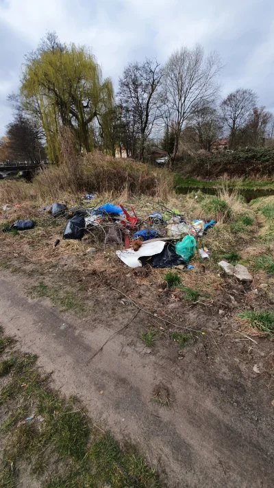 KimUnYest - Pięknie, czysto nad rzeką w #szczecin. Perła północno zachodniej Polszy