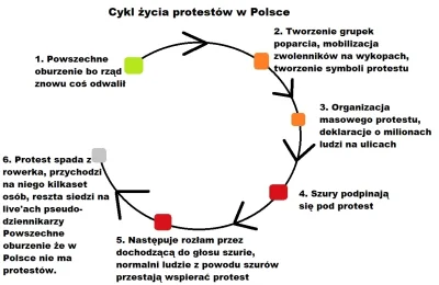 NaczelnyWoody - #protest #otwieramy #takaprawda #szury #foliarze #konfederacja #koron...