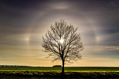 vitoosvitoos - Halo słoneczne 22°.
Zainteresowanych zapraszam na mój fotoblog: https...