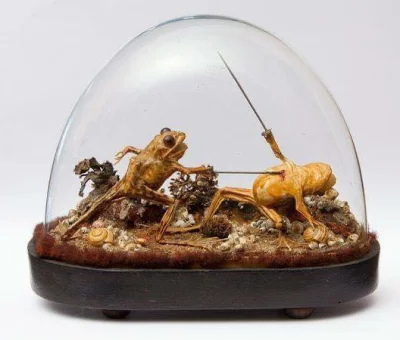 Sztuka_Wojenna - Ponad 100 letnie wypchane żaby znalezione na terenie starej francusk...