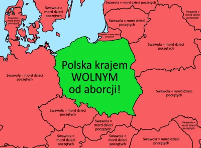 R187 - Polska w wizji Konfederacji: zielona wyspa wolności na czerwonym oceanie europ...