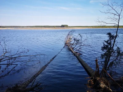 faramka - Rezerwat Imielty Ług wiosenną porą

To samo miejsce w zimie (3 miesiące t...