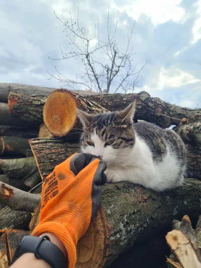 girldoma - @mateusz-zahorski: akurat takie ujęcie. Ogólnie kierowniczka była dumna ze...