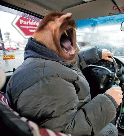 fan_comy - @MuszkaPikus pic rel taksówkarza gdy przy rozliczaniu przejazdu usłyszy o ...