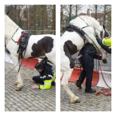 jaroslaw-nitko - @Kanbodja: tyle w temacie zomowcow - milosc z wzajemnoscia