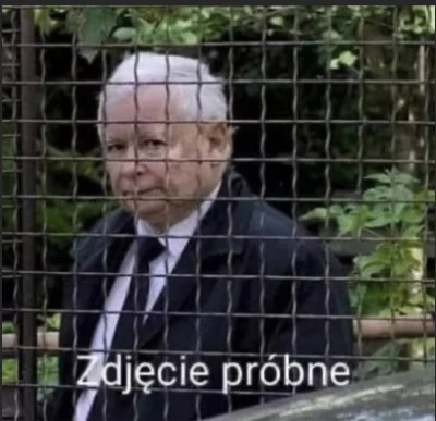 V.....e - Farsa. Bynajmniej na dzieci dały