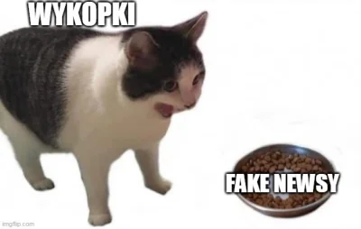 mem1000 - #wykopek #heheszki #memy #fakenews