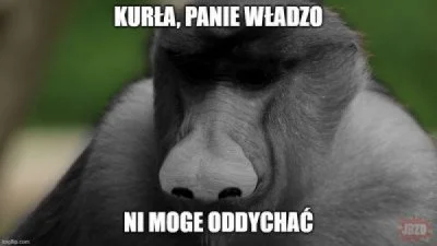 Zdatnydlawypoku - Świętej Pamięci Janusz Floryda
#humorobrazkowy #heheszki #nosaczsu...