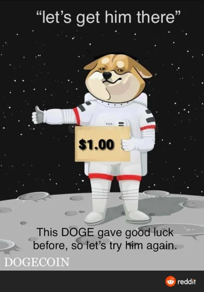IroL - To the moon
#kryptowaluty #dogecoin #doge #elonmusk