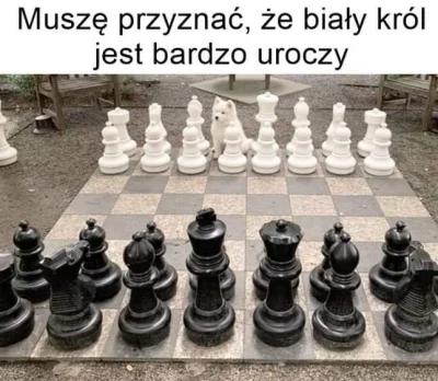 brakloginuf - #smiesznypiesek