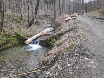 Yahto - Retencja w wykonaniu lasów państwowych xD
Obszar Natura 2000