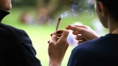 NewsKanabis - @NewsKanabis: Marihuana a Rak Jąder: Trzy Badania Wykazują Związek Diag...