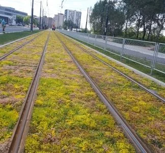 jmuhha - Wiecie co sie instaluje pomiędzy szynami?

Nie zawsze wysiewa się trawę, k...