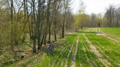 the_red - Między pasem drzew droga, która według OpenStreetMap miała być przejezdna, ...