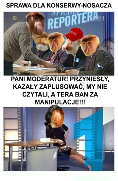 niochland - Tematy znalezisk:
- gwałty
- rozboje
- BLM związane stricte z polityką...