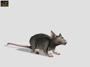 K.....a - Szczur z impossible creatures

#szczuryposting