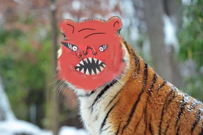 Paneliner1 - @Paneliner1: rekonstrukcja koreanskiego tygrysa na podstawie malowidel n...