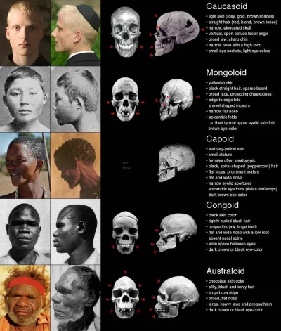 k_suchy - > Factually there used to be different human races, but everyone alive toda...