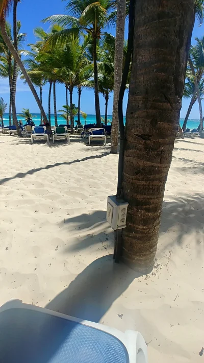 pojaszek - Jestem sobie na plazy a tam gniazdko na palmie pod remote work.

#remote #...