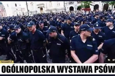 jaroslaw-nitko - #policja