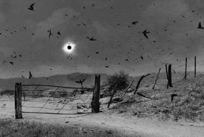 rezystancja - #fotografia #czarnobiale #fotografiauliczna
Eclipse on a farm in Mexic...