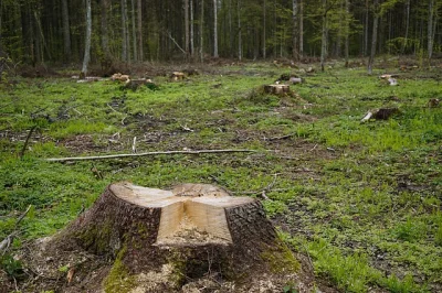 aarahon - > a może właśnie wystarczy patrzeć na googlowe mapy i jak tam narysowana je...