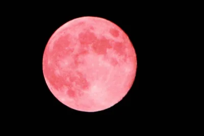 lachimel25 - Dzisiaj Pełnia Różowego Superksiężyca. Czy to oznacza, że zobaczymy dzis...