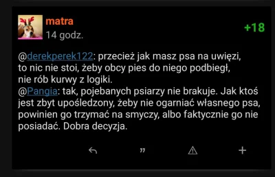 SweterWPaski - @matra: Własnych komentarzy nie pamiętasz?