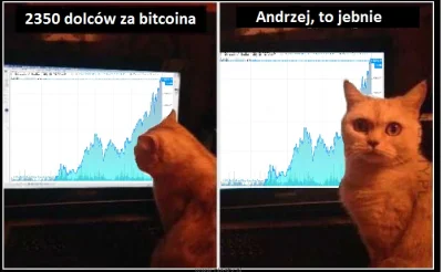 e.....u - 16/1oo ostatnich dni bitcoina 

Dziś kot Anżeja ( ͡° ͜ʖ ͡°)

Wszystkim ...