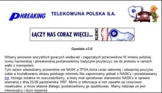 wygolonylibek-97 - Dlaczego polskie internety właściwie od samego swego początku były...