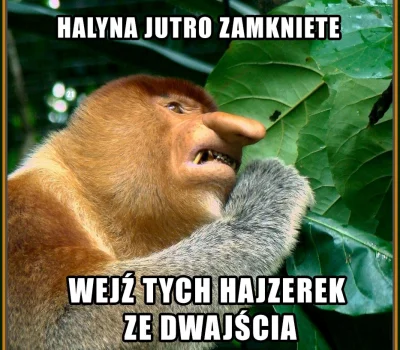 Baero - Dla przypomnienia, że jutro zamknięte ( ͡° ͜ʖ ͡°)
#polak #humorobrazkowy #he...