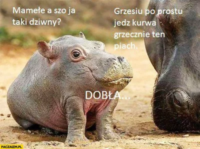 szzzzzz - DOBŁA (ʘ‿ʘ)