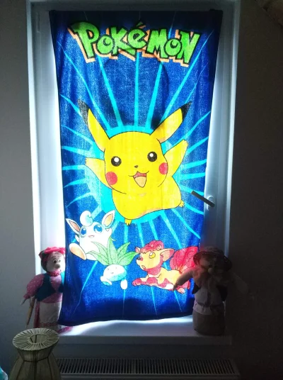 Aryo - Witraż w kościele pod wezwaniem św Pikachu. Zdjęcie pokemonowane


#pokemon...