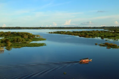 olszus - Pojedźcie nad Amazonkę i popatrzcie sami. Polecam Iquitos w Peru. W miarę ta...