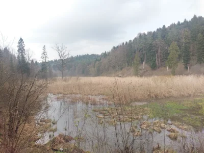 Panuh - Kąkolówka rezerwat Mójka
Szlaki latwe, do przejscia najkrotszy ok 3h spacero...