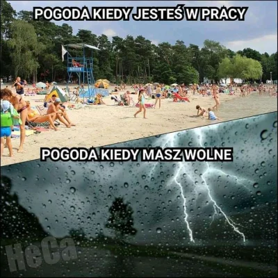 Mzl02 - #memy #takaprawda #heheszki