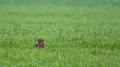 sedros - W ostatnią sobotę, 1 maja, udało mi się spełnić jedno z moich fotograficzno-...