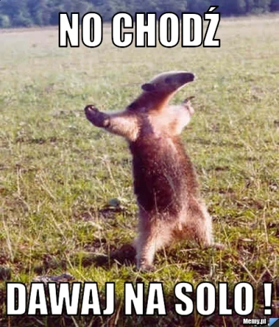 s.....1 - @Norbercikk: Chidz na solo #!$%@?.