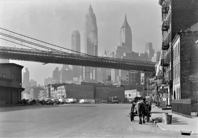 myrmekochoria - Nowy Jork, 1933. 

#starszezwoje - tag ze starymi grafikami, miedzi...