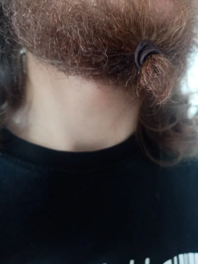 huntforfur - Niedługo będę chował za pasek #broda #fryzjermeski barberzy to homoseksu...
