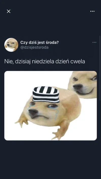 kasztelan_angielski