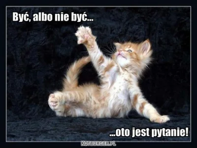 januszzczarnolasu - > Sens życia wg kota?!

@arek-niziolek: ( ͡° ͜ʖ ͡°)