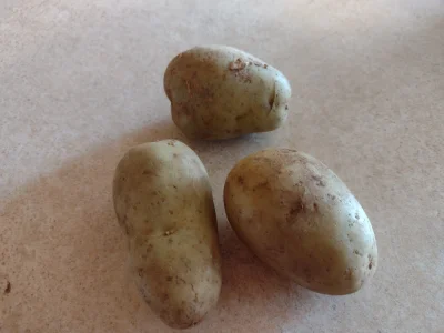 DerMirker - Mam kilka zielonych, niedojrzałych ziemniaków. W jaki sposób mogę w warun...