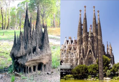 R.....a - Bielce versus Gaudi.
Jedno na pewno jest wytworem pomysłu w głowie oraz je...