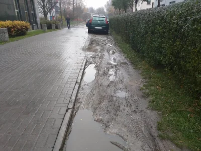 GlebakurfaRutkowski_Patrol - > Nie widać też żeby niszczył trawnik

@virtroy: No wi...